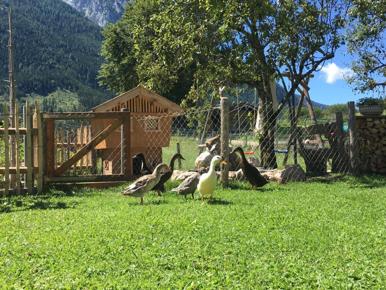 Ramsau bei Berchtesgaden Vorderponholz Ferienwohnungen מראה חיצוני תמונה