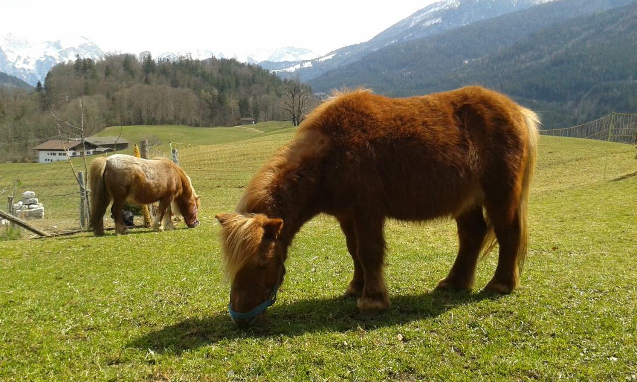 Ramsau bei Berchtesgaden Vorderponholz Ferienwohnungen מראה חיצוני תמונה