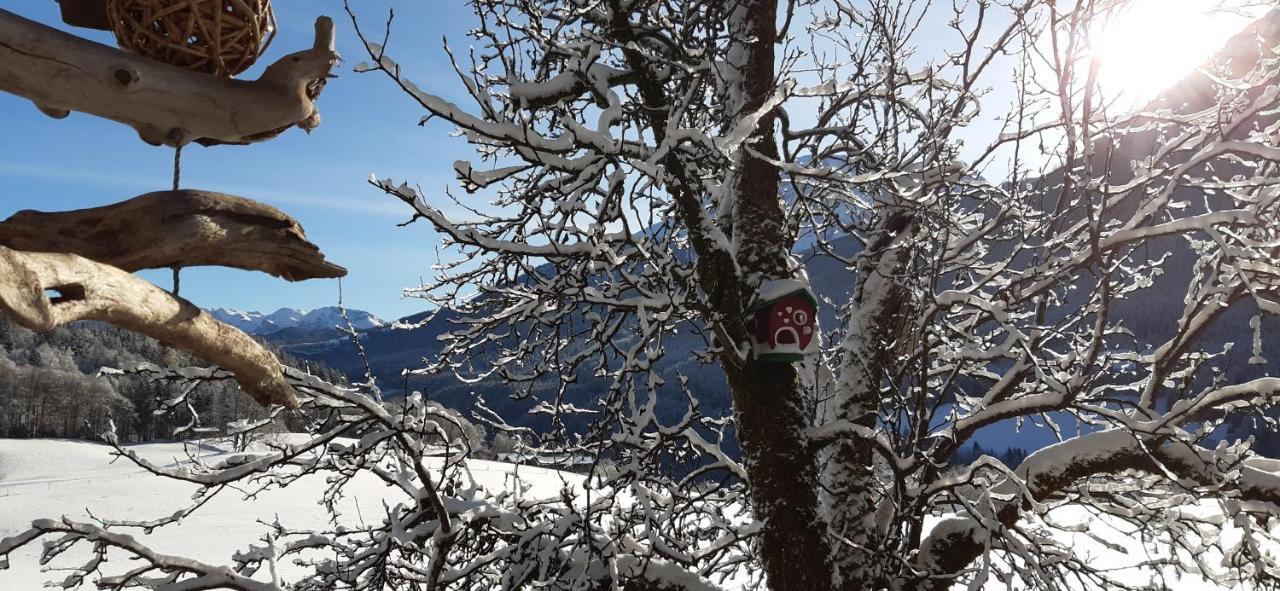 Ramsau bei Berchtesgaden Vorderponholz Ferienwohnungen מראה חיצוני תמונה